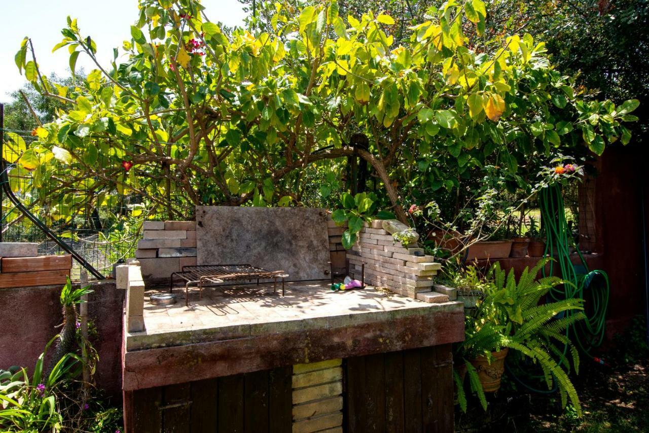 Rosa Holiday Home 维拉西米乌斯 外观 照片